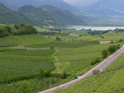 Alto Adige: la strada del vino