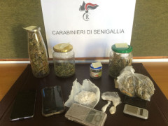 Sequestro sostanze stupefacenti da parte dei Carabinieri di Senigallia