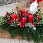 Addobbi e composizioni natalizie al vivaio Piantaviva di Senigallia
