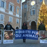 Giornata per i diritti degli animali