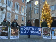 Giornata per i diritti degli animali