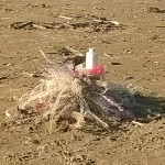 Retini abbandonati in spiaggia