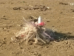 Retini abbandonati in spiaggia