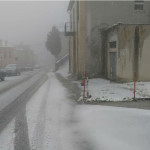 Arcevia innevata