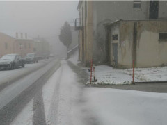 Arcevia innevata