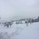 Neve a Prosano di Arcevia - Foto Chiara Vernier