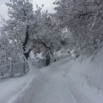 Neve a Prosano di Arcevia - Foto Chiara Vernier