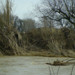 Fiume Misa