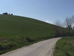 Smottamenti sulla collina di Filetto di Senigallia