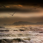 ‘In volo su un paesaggio marino' di Paolo Gresta