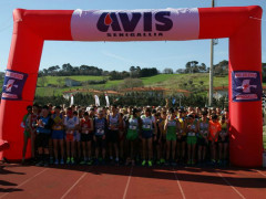 Trofeo Podistico Città di Senigallia 2018