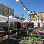 Il mercato europeo ambulante a Senigallia, edizione 2017