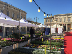 Il mercato europeo ambulante a Senigallia, edizione 2017