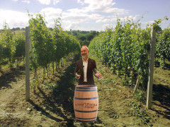 Roberto Venturi e l'Azienda vinicola Venturi di Castelleone di Suasa