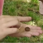Progetto Orto Nostro-Orto Vostro