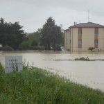 Fiume Misa: allagamenti tra Vallone e Bettolelle