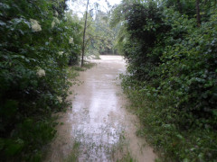 Fiume Misa: allagamenti tra Vallone e Bettolelle
