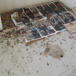 Sporcizia e degrado all'ex Chiostro di San Francesco a Ostra Vetere