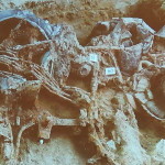 Progetto Archeonevola, scoperta archeologica