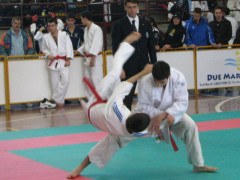Incontro di Ju Jitsu