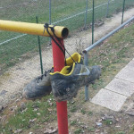 calcio uisp