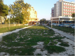 Parcheggio Stazione, ex pineta