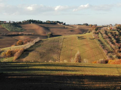 campagna