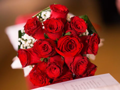 Fiori e idee regalo per San Valentino al Vivaio Piantaviva di Senigallia