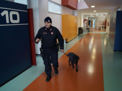 Controlli antidroga nelle scuole