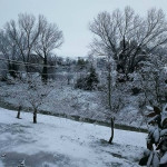 Neve a Ripe