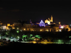 L'albero di Natale che spicca nel centro di Corinaldo