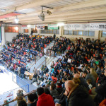 PalaPanzini, tifosi Pallacanestro Senigallia