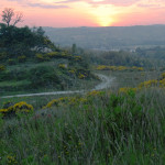 L'oasi di San Gaudenzio a Senigallia