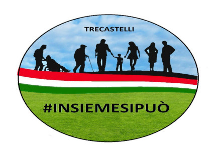 Insieme si può, logo