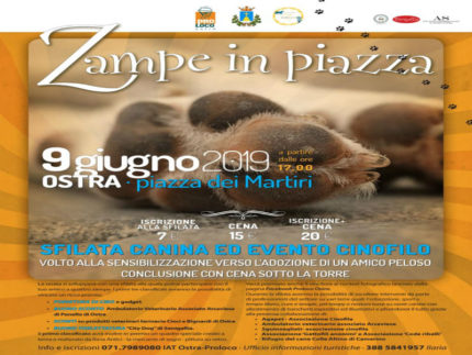 "Zampe in piazza"