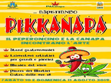 Locandina dell'evento "Aspettando Pikkanapa"