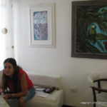 Vita! Emozioni! Creatività! - Mostra di pittura dell'artista Ely