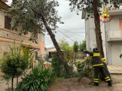 interventi dei vigili del Fuoco per allagamenti e rami caduti