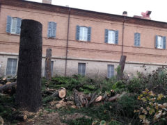 Alberi abbattuti nel giardino dell'Opera Pia Mastai Ferretti