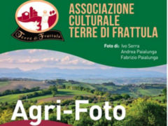 Mostra alla Festa Olio Nuovo 2019