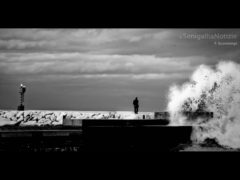 Onde contro il molo - Foto di Francesco Buontempi
