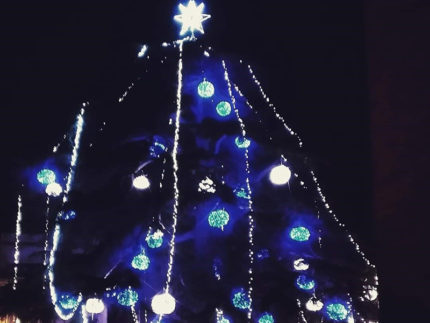 Cedro del Libano addobbato a Corinaldo per il Natale