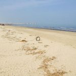 Pulizia dell'arenile a Senigallia