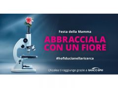 l'Azalea della Ricerca vi aspetta quest'anno su Amazon
