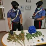 Carabinieri: sequestro marijuana