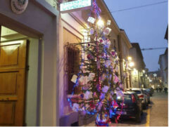Albero di Natale