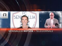 videogiornale vigor
