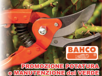 Promozione potatura e manutenzione del verde da RCR Agricoltura Giardinaggio