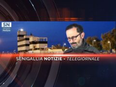 videogiornale mauro pierfederici
