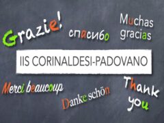 IIS Padovano-Corinaldesi